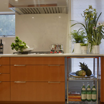 Long Island Historic Total Kitchen Renovation