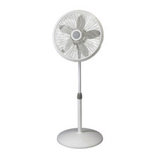 Fans