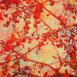 Crab Apple Tree - Prints And Posters