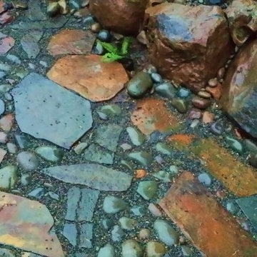 Edgecliff Estates Permeable Patio w/Rain Garden Makeover