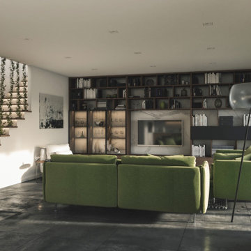 Entertainment Systems & Media Centers