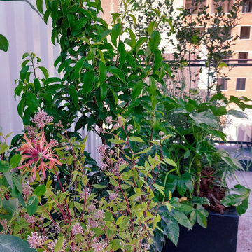 Terrasse d'entreprise espace collaborateurs/trices