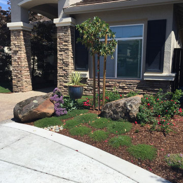 Roseville Circular Driveway & Landscape