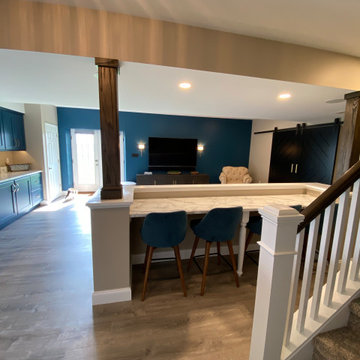 Basement Remodel