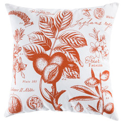 Transitional Decorative Pillows by Rhadi Living