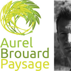 Aurel Brouard Paysage