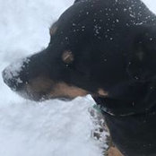 Cathy Wilkinson's photo