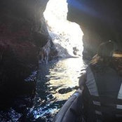 Amy Popplewell's photo