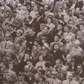 Jon Sherman's photo