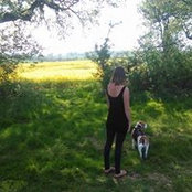 Alison Crook's photo