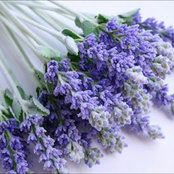 Mari's photo