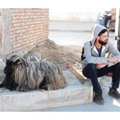 Jean-Philippe Milette's photo