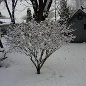 Brenda Lohry's photo