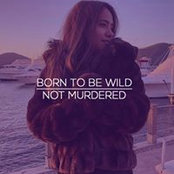 Suhail Luna's photo