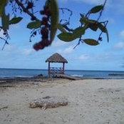 Robin Wolowski's photo