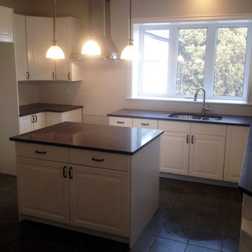 Kitchen and Sunroom Reno