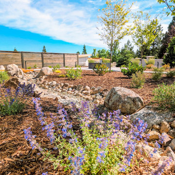 Southwest Reno