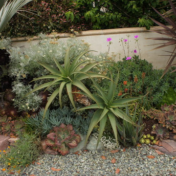 Mediterranean Paradise Garden, Coronado, California