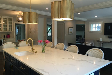 Kitchen - transitional kitchen idea in Boston