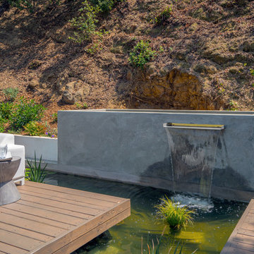 Contemporary Koi Pond
