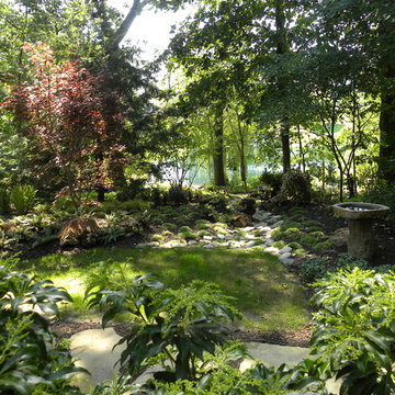 Shade Garden