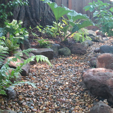 Cornell Creek