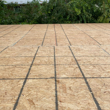 Shingle Roof Replacement (Shasta White)