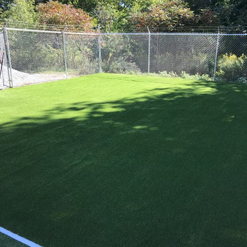 Haverhill Road Doggy Daycare