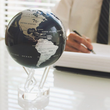 Silver Black Metallic MOVA Globe