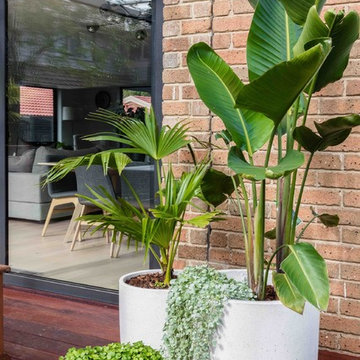 Outdoor plant cluster