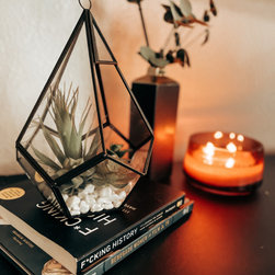 Runion Revamp - Terrariums