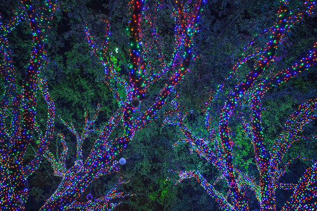 Классический Фасад дома by The Perfect Light