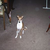 Dana Schwanz's photo