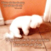 Photo de Robert Cosme