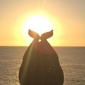 Joy Edwards's photo