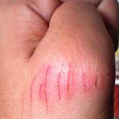 Sheila Gatchalian's photo