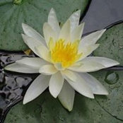 Kathy Hart's photo