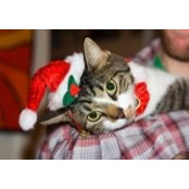 Gail Noblot's photo