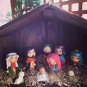 Dot Carlin Kennedy's photo
