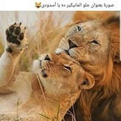 Enas Raouf's photo