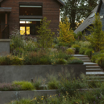 The Willamette River House