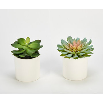 9" Artificial Succulent In White Ceramic Pot, Set Of 2