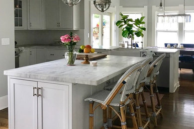 Kitchen - transitional kitchen idea in New York