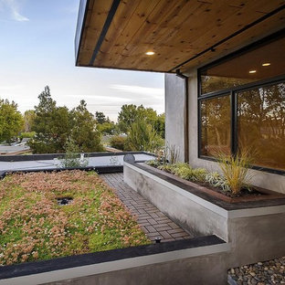 Inspiration for a modern rooftop garden in San Francisco.