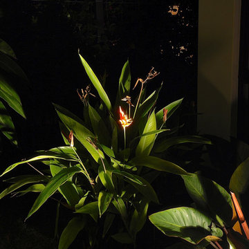 Pelican Bay Flower Lighting