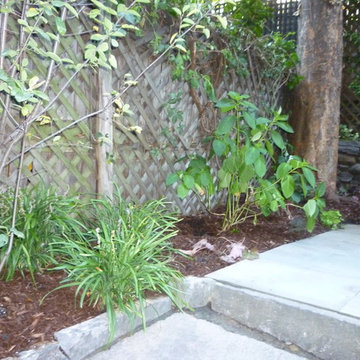 NYC Brownstone Backyard