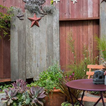 Garden in the Excelsior