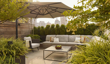 How to Provide Shade in a Small Yard