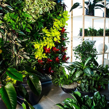 Our Garden Center