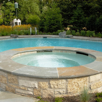 Glenview, IL Natural Swimming Pool and Raised Hot Tub
